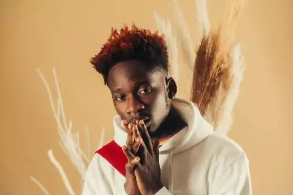 Mr Eazi - Meant To Be ft. Lousika